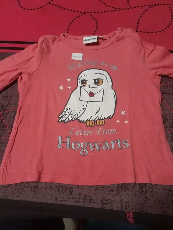 T-shirt manche longue harry potter hedwige