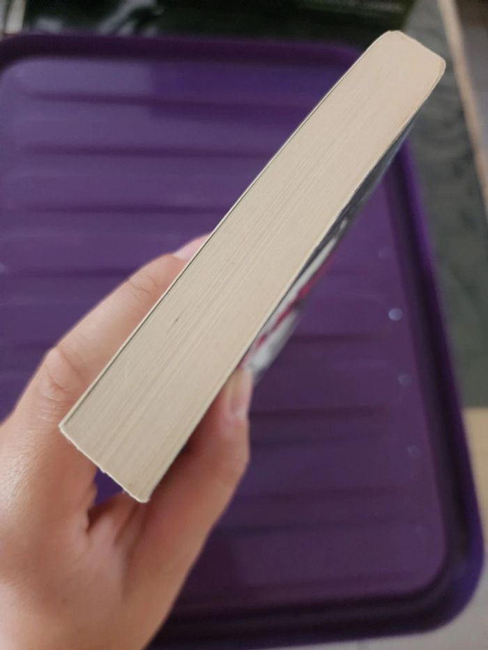 Livre de poche "beautiful bastard" de Christina Lauren - New romance - photo numéro 6