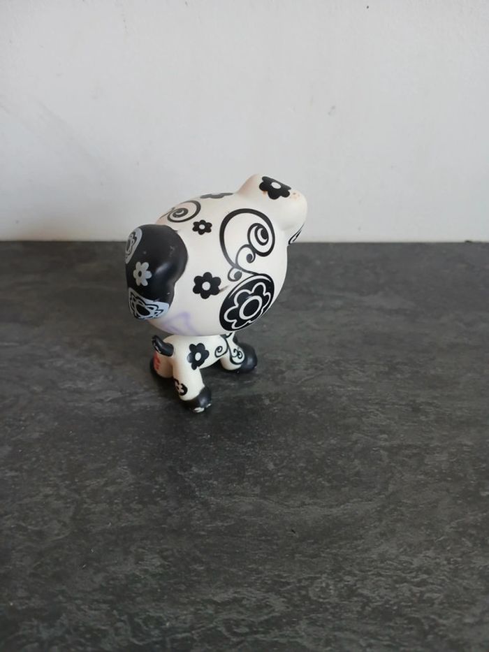 Petshop Dalmatien - photo numéro 4