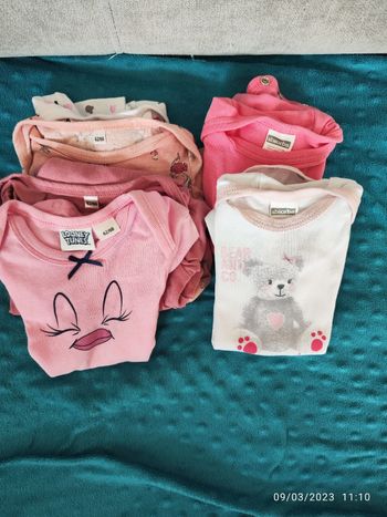 Lot de 6 bodies manches courtes