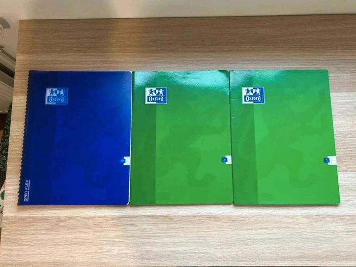 Lot  de  3  cahiers