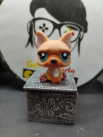 Lps01219 Littlest Petshop LPS chien Dog French Bulldog Bouledogue Français 1847