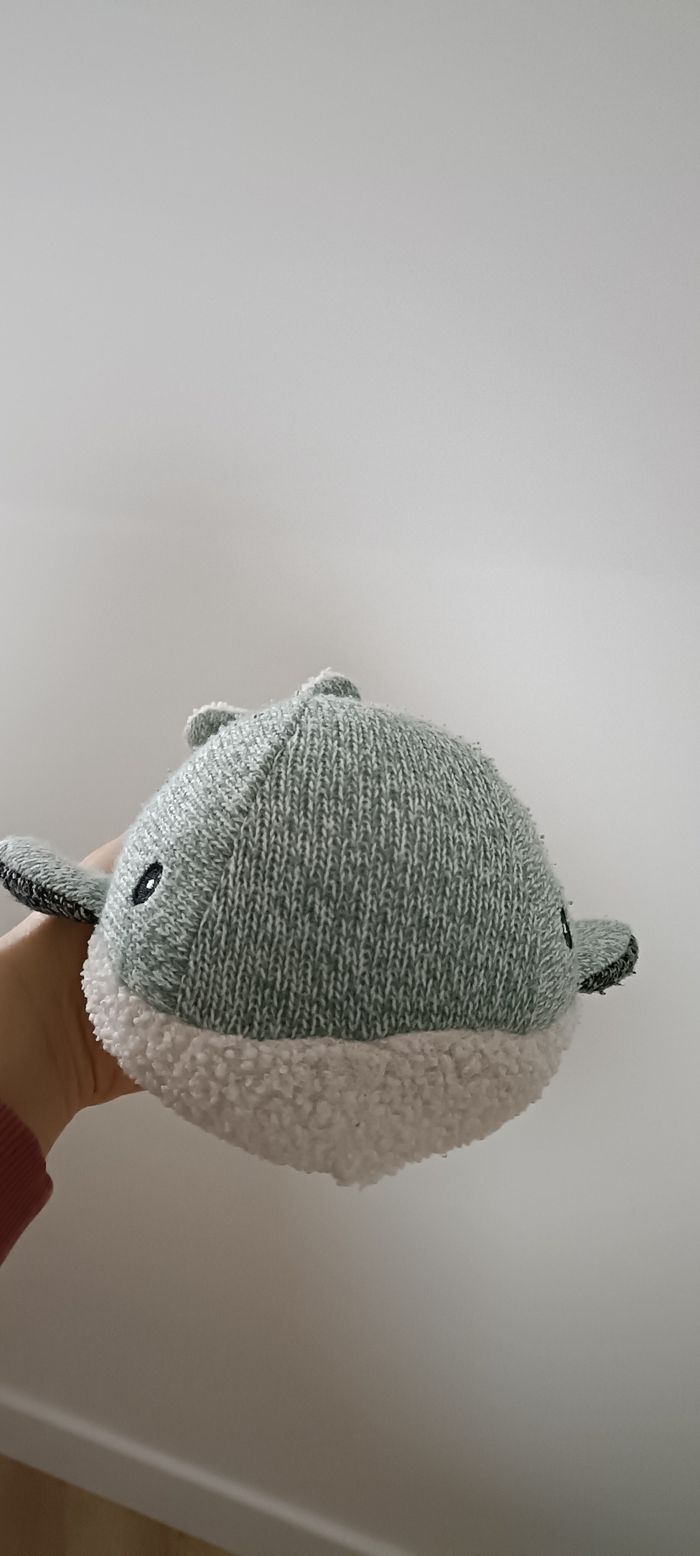 Baleine bruit blanc flow - photo numéro 2