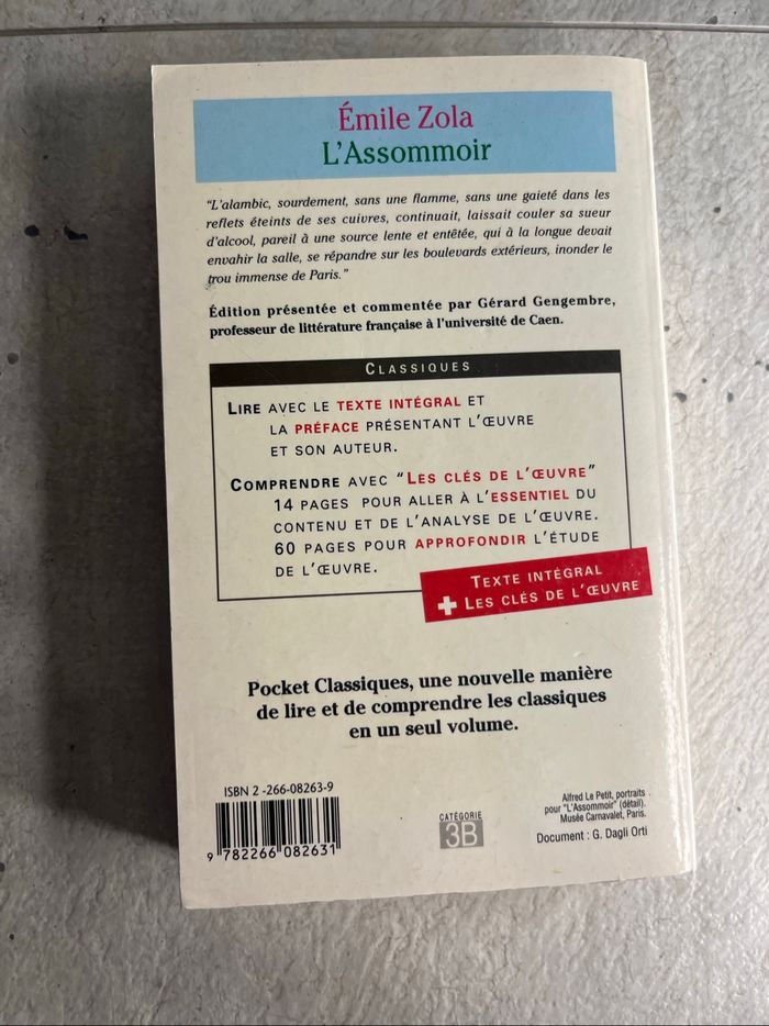 L’assommoir d’Emile Zola - photo numéro 2