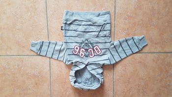 Sweat polaire à capuche garçon 6-12 mois Power Kids