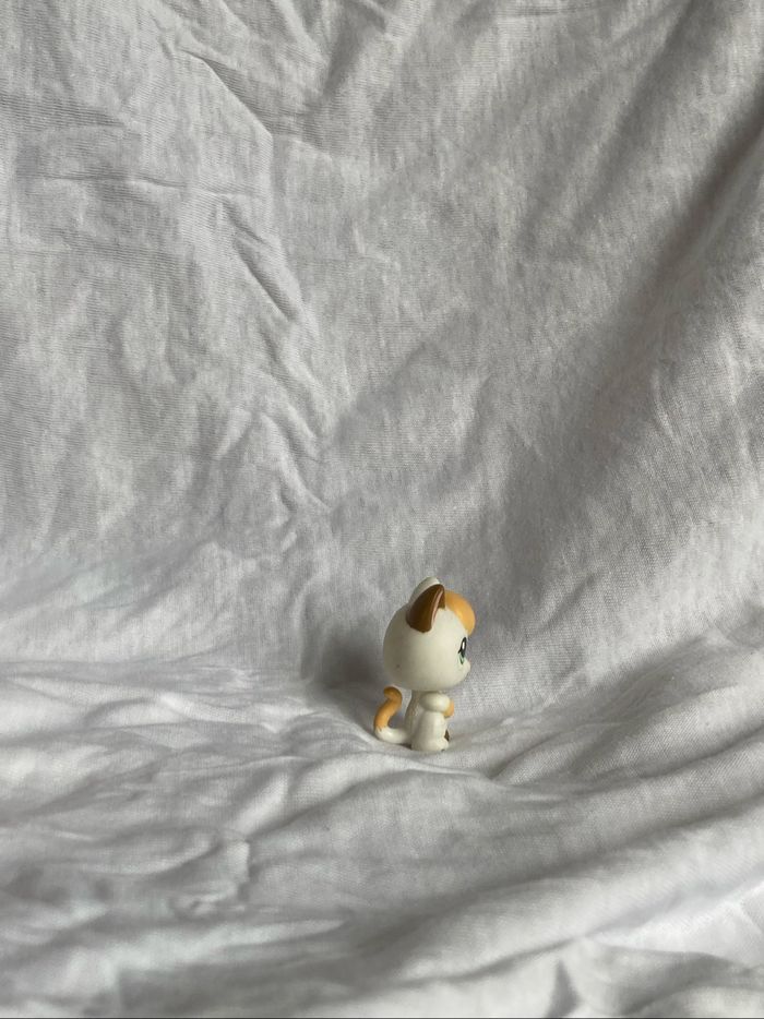 lps chaton - photo numéro 4