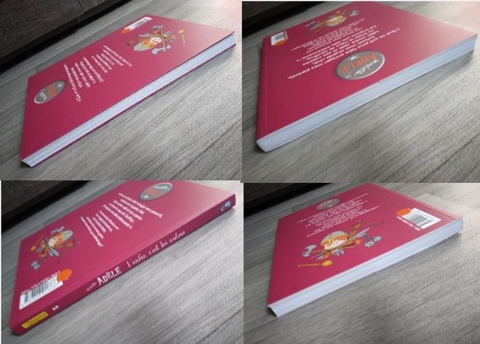 lot livres mortelle adèle neuf - photo numéro 7