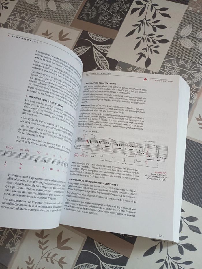 Livre la théorie de la musique - photo numéro 2
