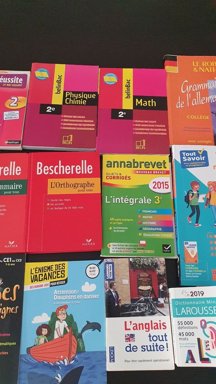 Divers livres parascolaire - photo numéro 4