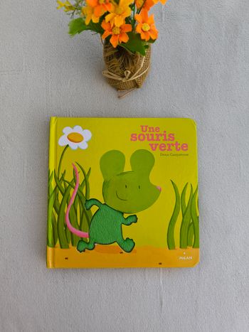 Livre Une souris verte Milan