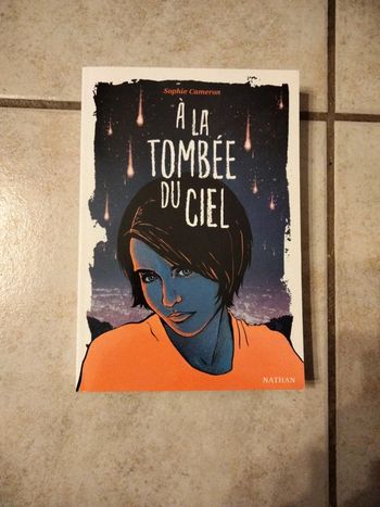 Livre A la tombée du ciel