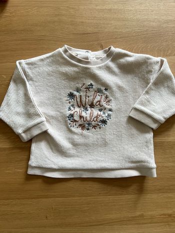 Pull Vert Baudet fille 12 mois