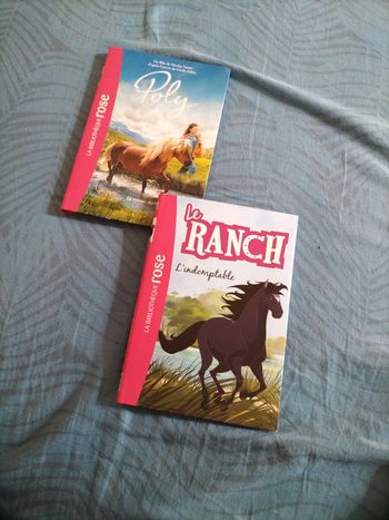Lot 2 livres