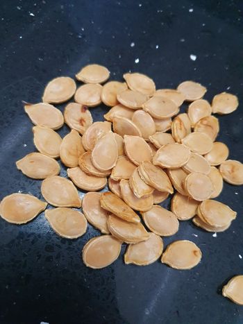 Graines de potimarron x50