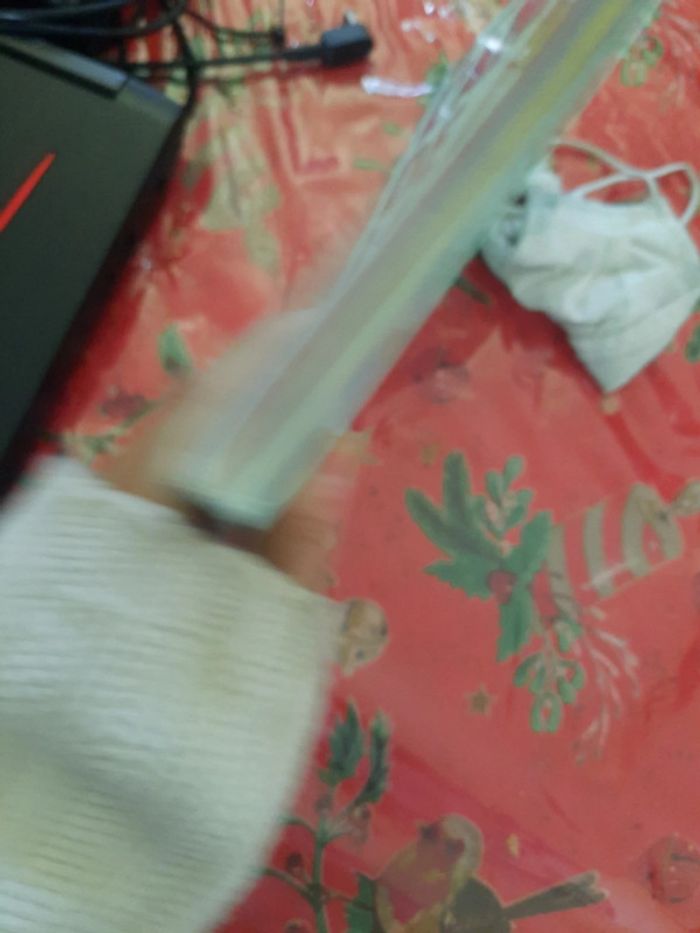 Année de la 1er s - photo numéro 8