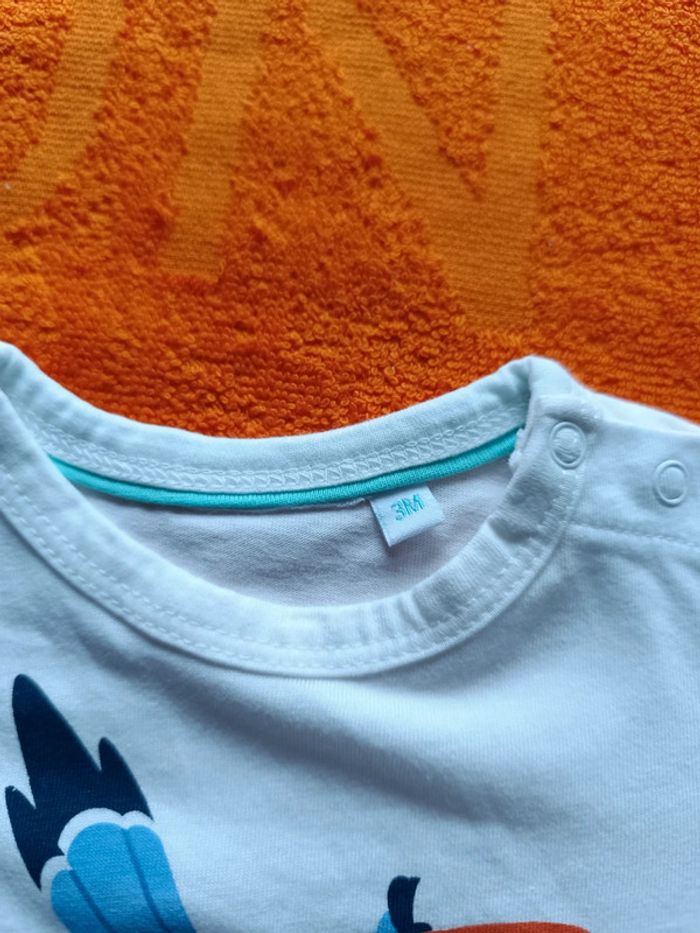 Short + tee-shirt 3 mois - photo numéro 3