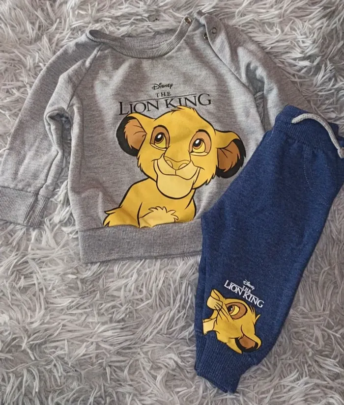 Ensemble roi lion 🦁