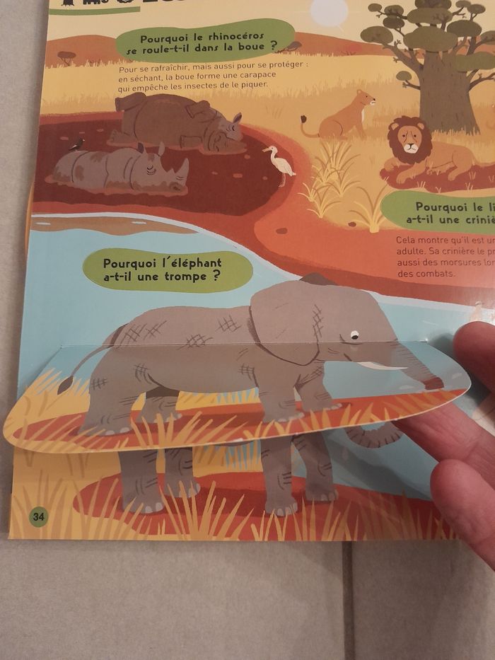 Kididoc des pourquoi - photo numéro 4