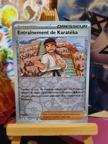 Entraînement de Karatéka reverse 98/131 Évolutions Prismatiques