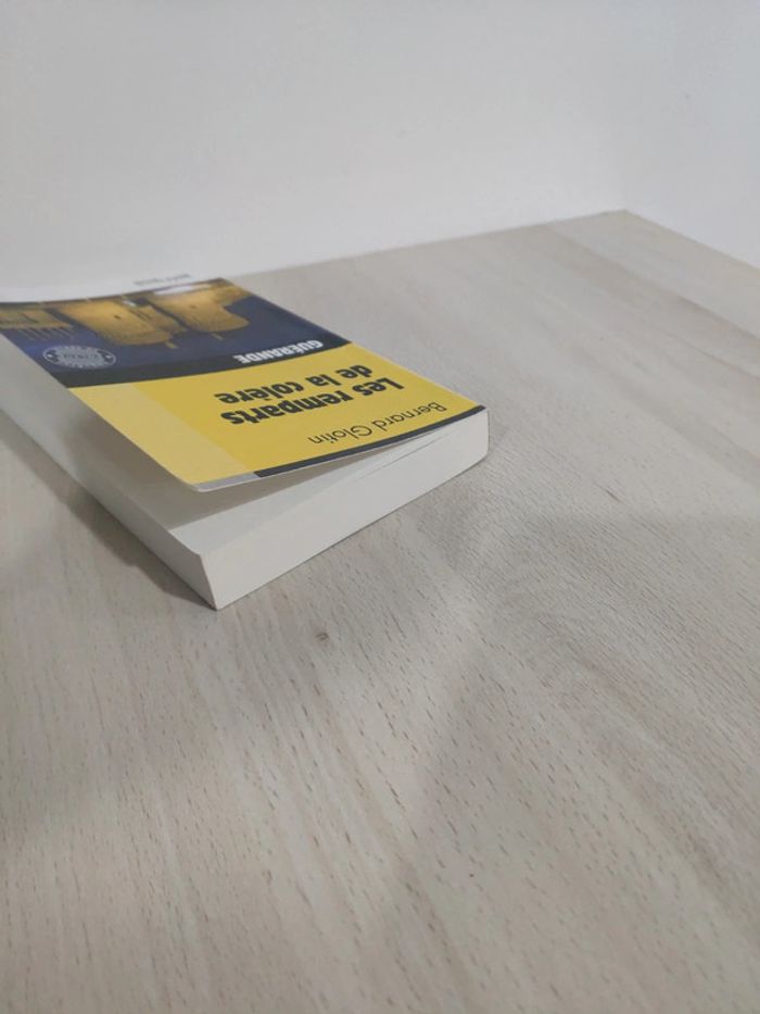 Livre poche les remparts de la colère Guérande Glotin Palemont éditions - photo numéro 4