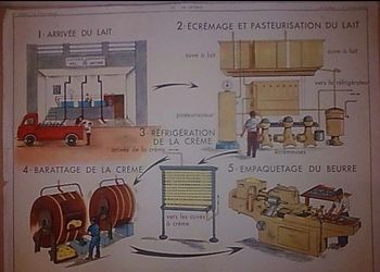 Affiche scolaire -la laiterie-