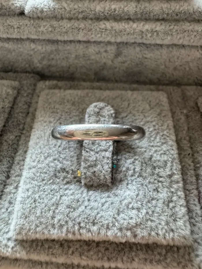 Bague acier chirurgical