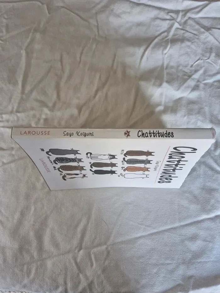 Chattitudes - photo numéro 3