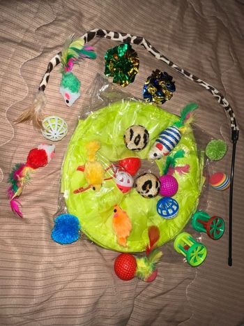 Jouets pour chat x21 🐱 NEUFS – kit complet avec tunnel, souris, balle et plumes
