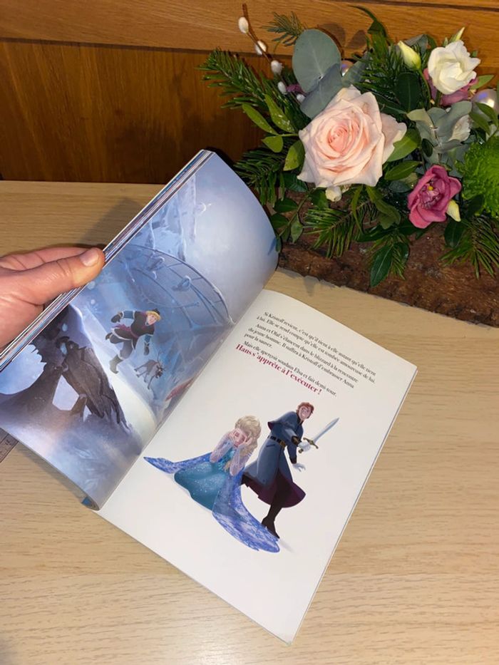 Livre album film Disney hachette 2020 princesse reine neiges elsa Anna - photo numéro 4