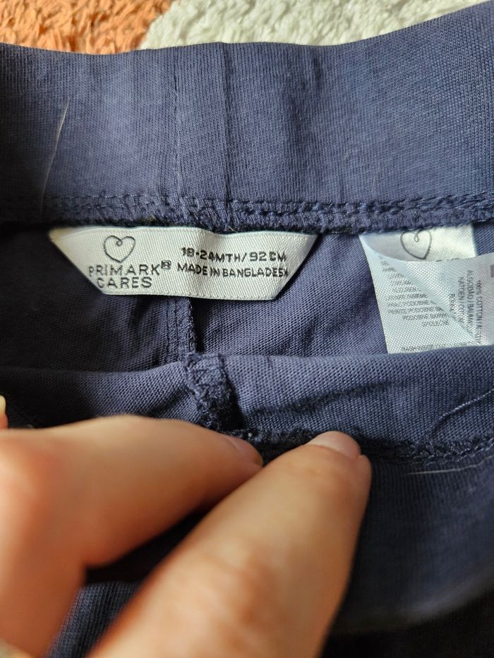 Ensemble dinosaure- 24 mois - photo numéro 3