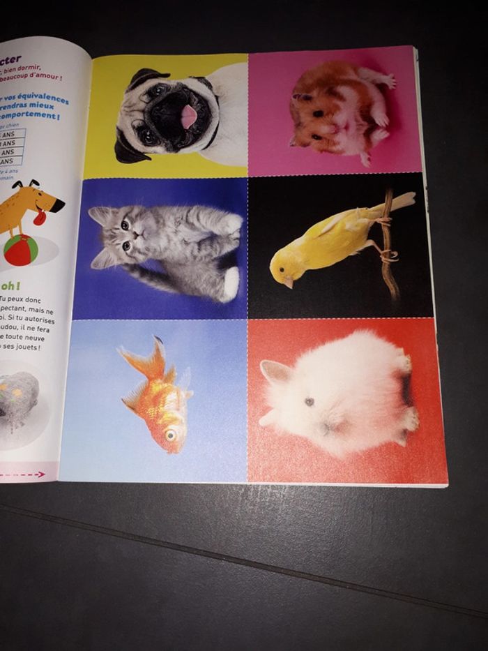 Magasine les p'tites sorcières n 211 - photo numéro 4
