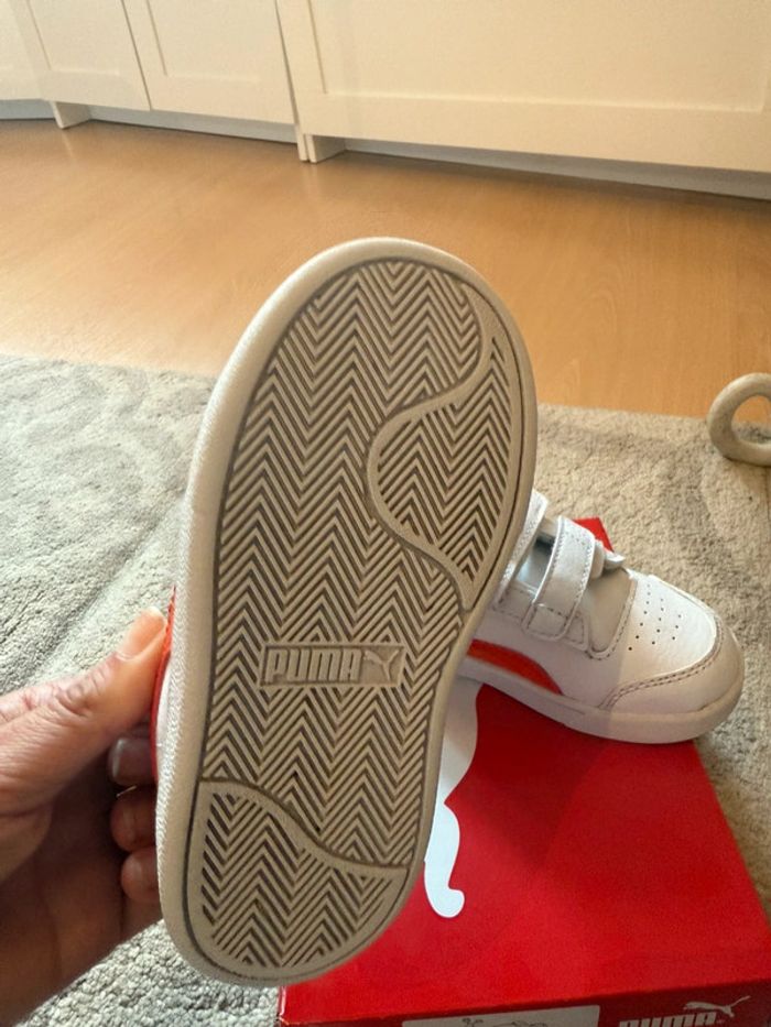 Superbes baskets puma - photo numéro 3