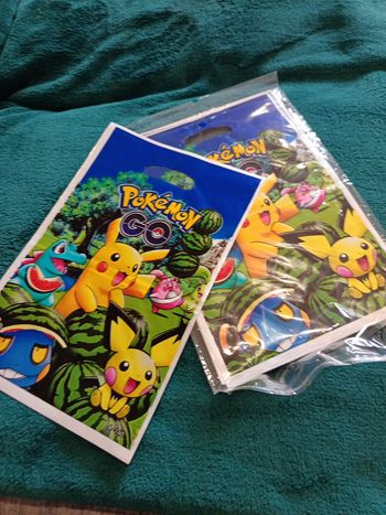 10 pochettes pokemon 