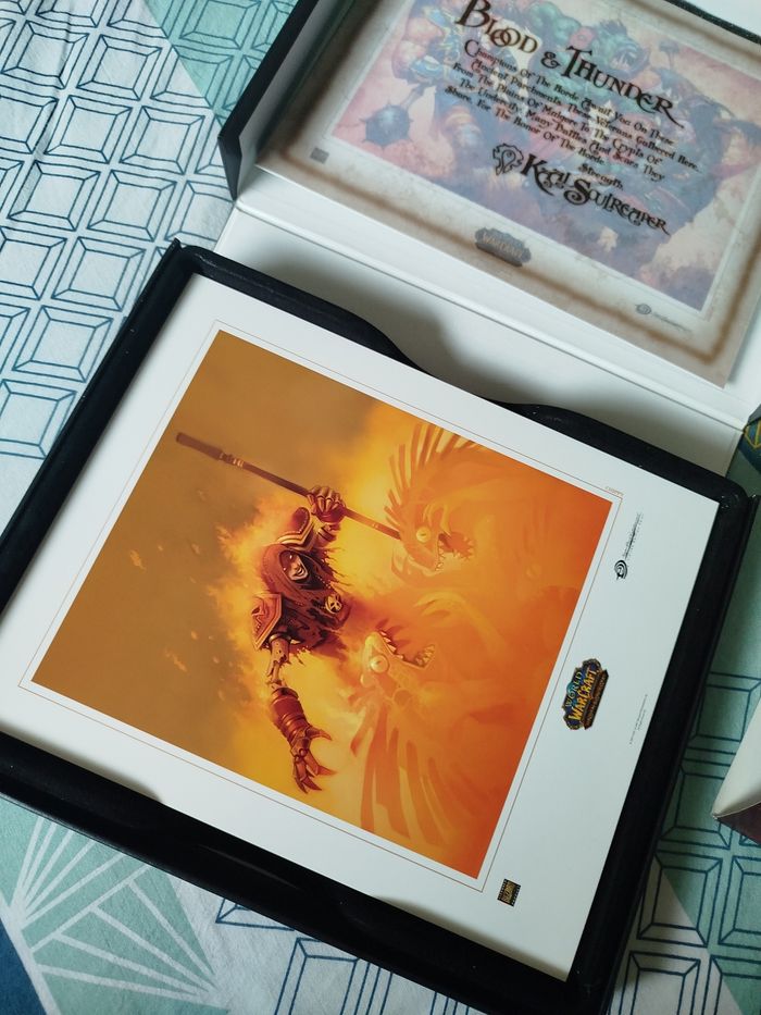 Coffret 35 cartes the horde world of warcraft - photo numéro 9