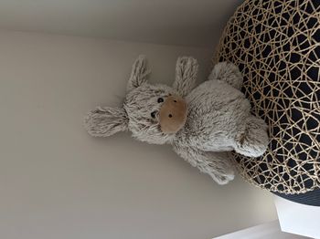 Warmies peluche bouillotte âne