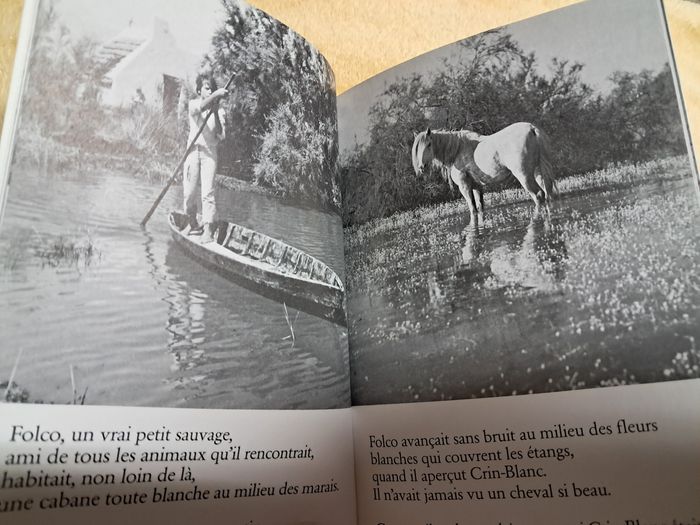 Livre de poche Crin blanc - photo numéro 3