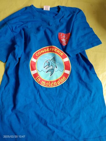 T-shirt collection