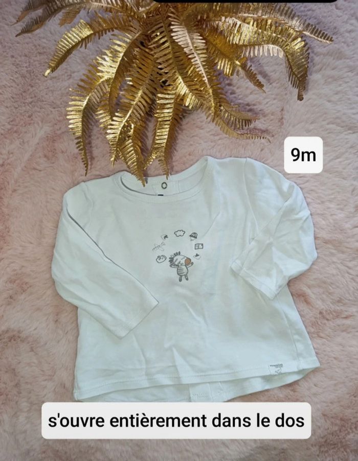 T shirt absorba zèbre