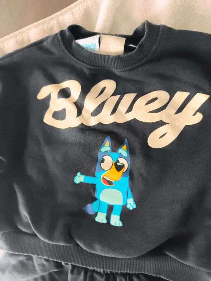 Ensemble bluey - photo numéro 2
