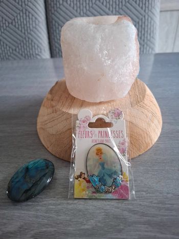 Pin flowers and princesses cendrillon 2018