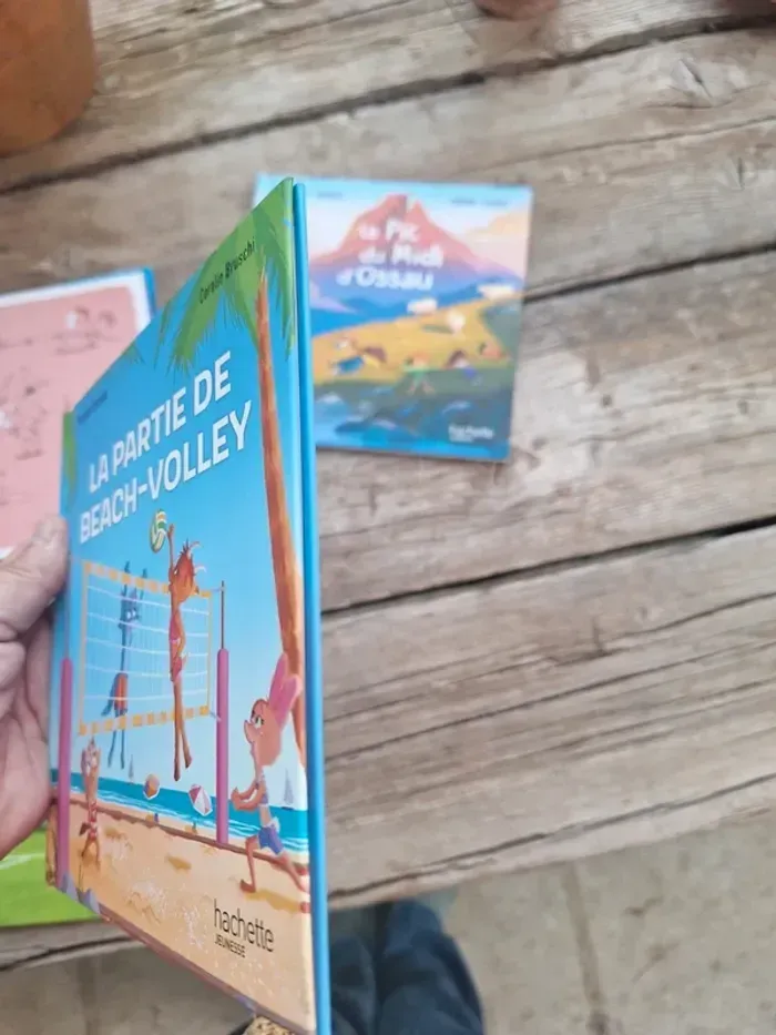 Lot de 4 livres enfants hachette Virginie grimaud, Alexandre - photo numéro 6