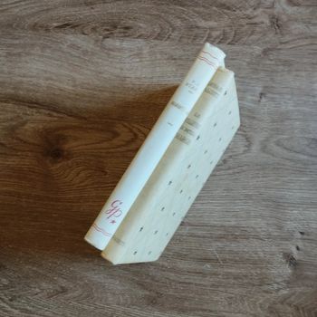 📚 Lot de 2 livres Maroussia & La filleule du docteur March #emyfleury_livres