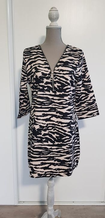 Robe rayée / zébrée