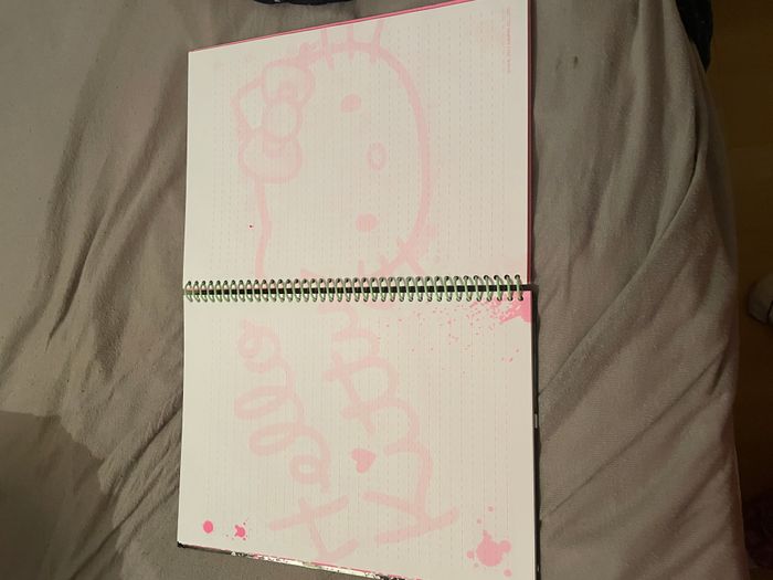 Grand Carnet Hello Kitty - photo numéro 3