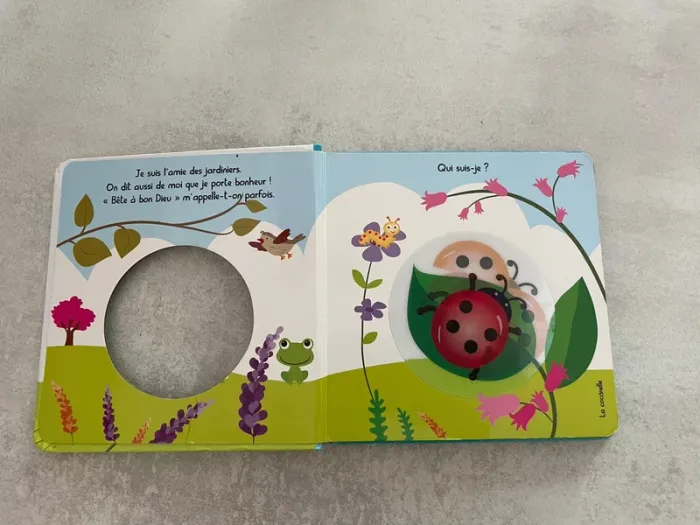 Petites bêtes du jardin - photo numéro 3