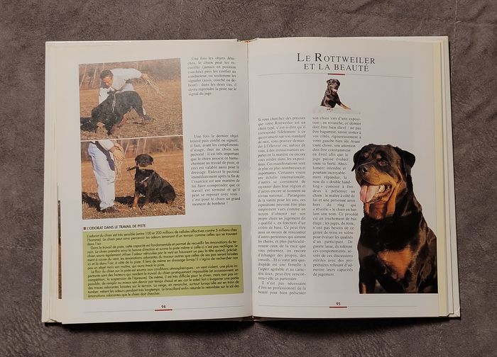 Le Rottweiler Filippo Cattaneo - photo numéro 5