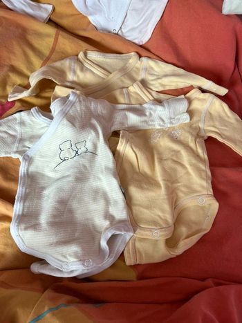 Lot de 3body/bodies taille naissance