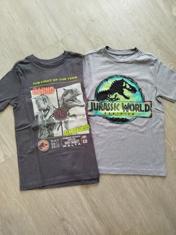 Tee-shirt Jurassic World 