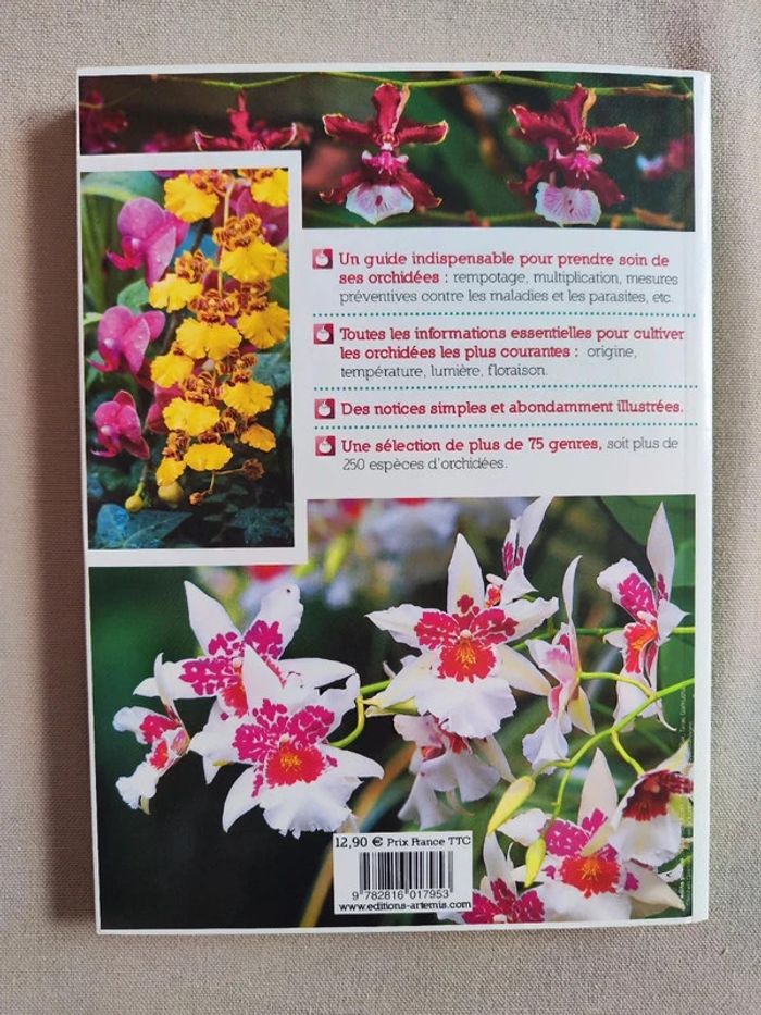 Livre Les essentiels du jardin, les Orchidées - photo numéro 5