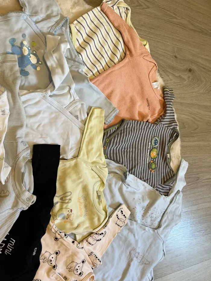 Lot 13 bodys 3 mois - photo numéro 3